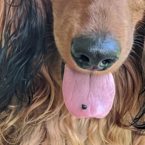 Meet your Posher, Sharon